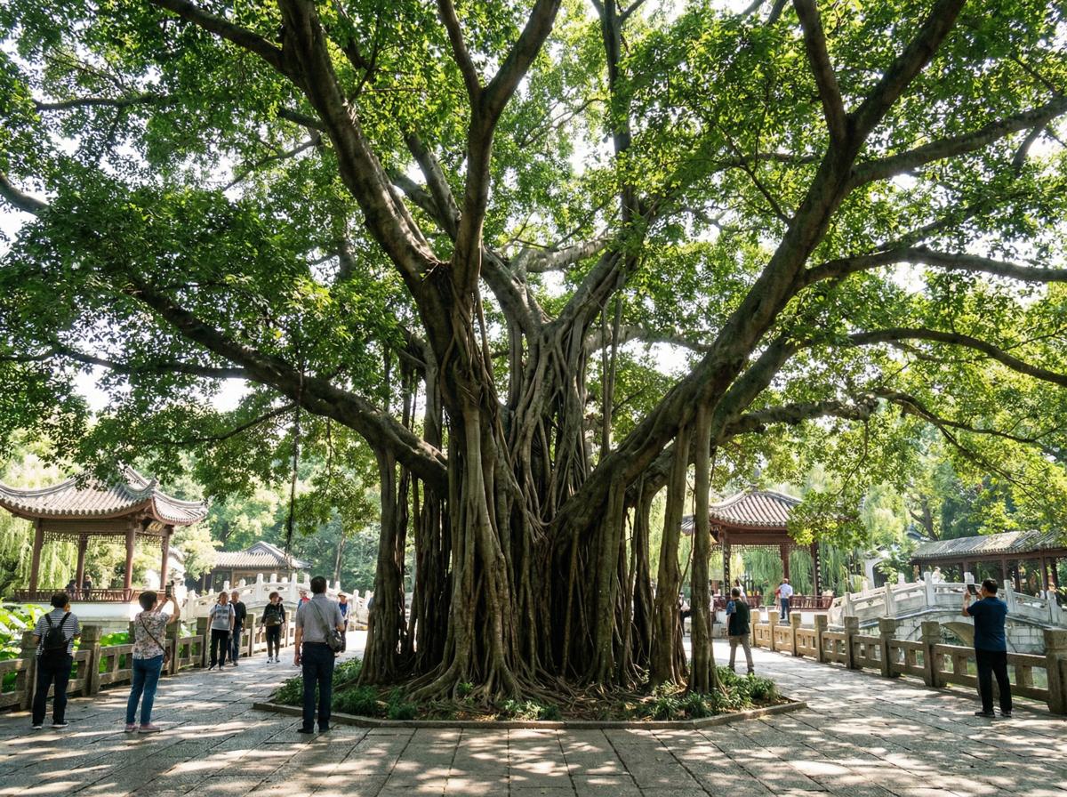 海角社区社区顾问王雅琴